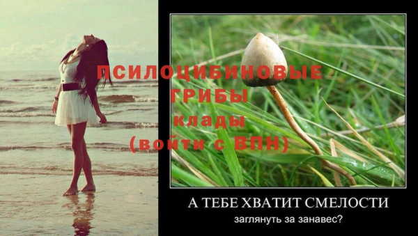 кокаин премиум Пролетарск